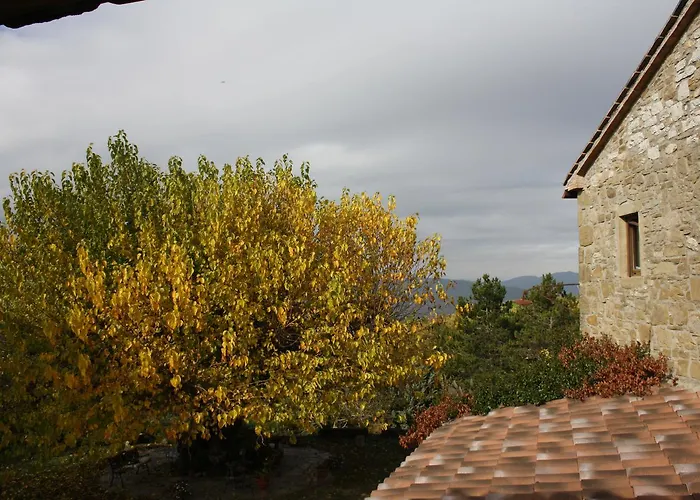 Nativo * بيرودجا